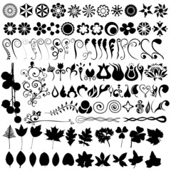 Floral elements and leaves for design