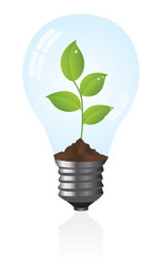Light bulb with a plant. Vector illustration.