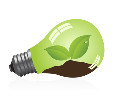 Light bulb with a plant. Vector illustration.