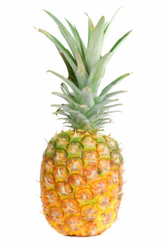 Pineapple fruit.