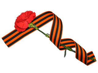 Carnation with striped ribbon (isolated)