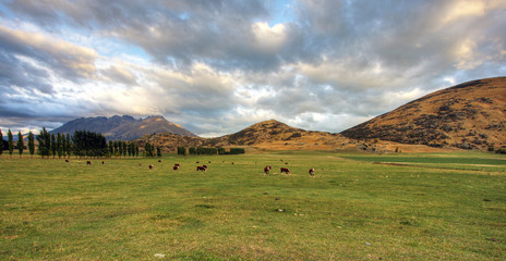 Mountain Landscape