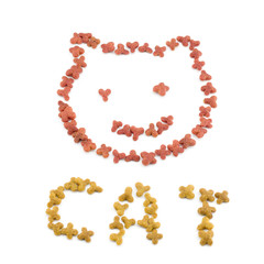 Cat`s muzzle