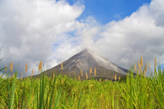 Arenal 01
