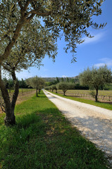 chemin d'accès privé