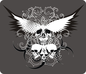 skull grey with wings - obrazy, fototapety, plakaty