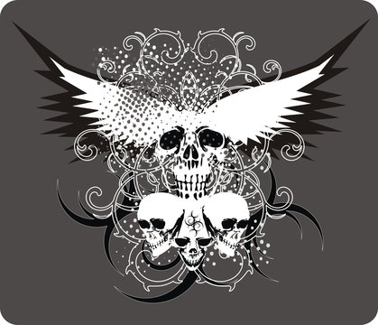 skull grey with wings