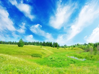Meadow