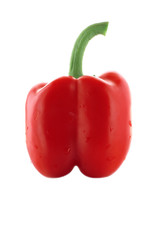 Ripe wet pepper isolated on a white background