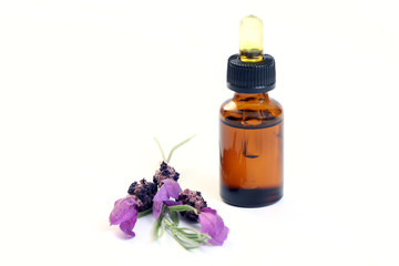 lavender oil