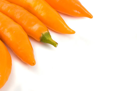 chilli peppers on white backgroun © elnavegante