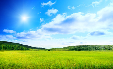 north mountains and green grass