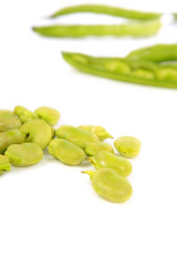 fèves fraichement ceuillis