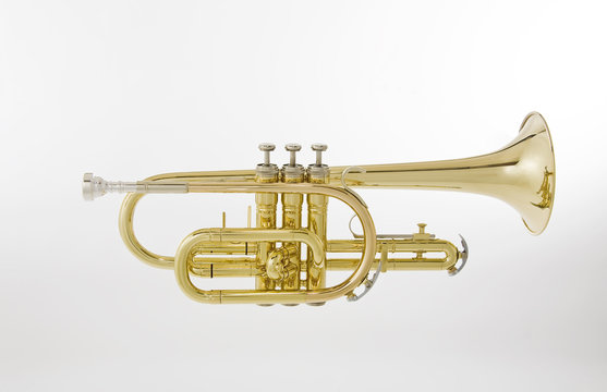 Cornet on White