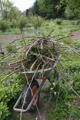 Naklejka premium Brombeerschnitt