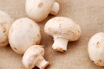 mushrooms