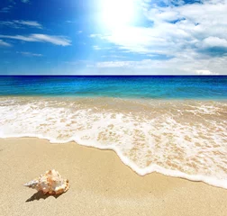Tranquil scene with Sea shellfish, blue sky, golden sand and small waves 
