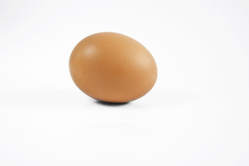 Egg