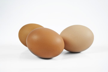 Egg