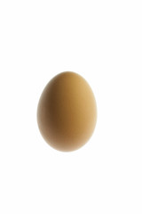 Huehnerei,  Freisteller