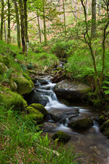 Creek