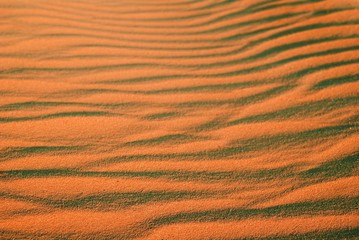 hot sand in the desert at the evening