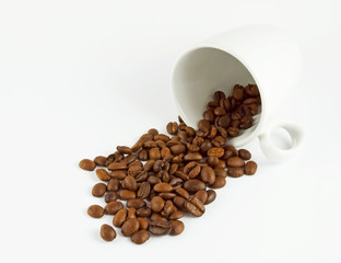 coffee beans