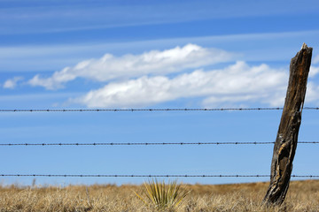 Barbed Wire Fence Against a Country Sky