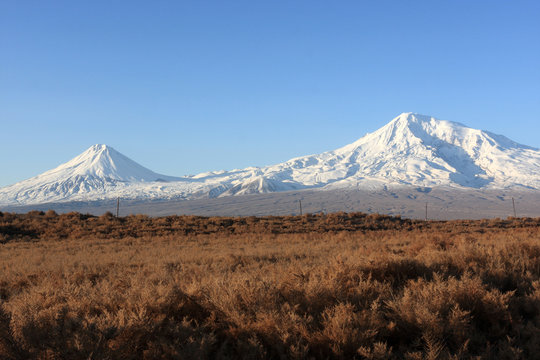 Ararat in the morning