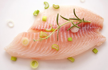 frischer fisch