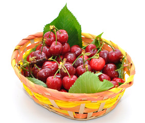 cesto di ciliegie