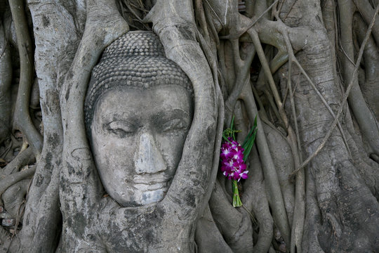 Buddha Head