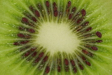 interieur d'un kiwi