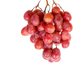 Grapes isolated on white