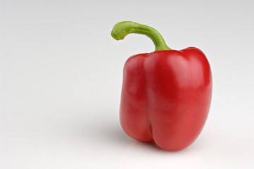 red pepper_01