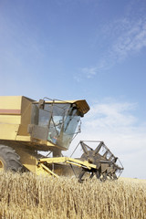Fototapeta premium Combine Harvester Working In Field