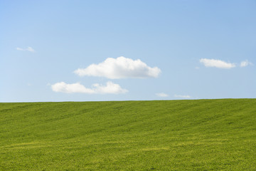 Fototapeta na wymiar Farm Field With Blue Sky