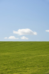 Farm Field With Blue Sky