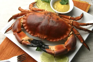 Crédence de cuisine en verre imprimé Crustacés crabe ou crabe