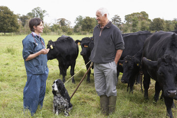 Farmer In Discussion With Vet In Field