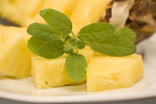 pineapple and slavia