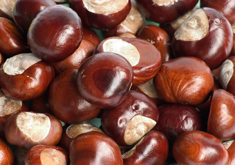 chestnuts