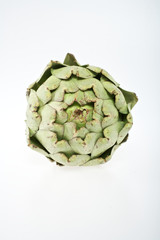Obraz premium Artischocke