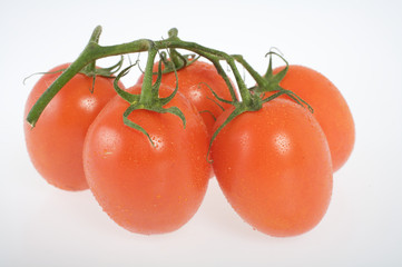 Tomaten