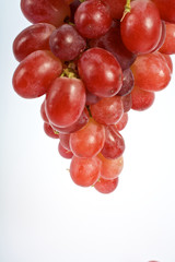 Weintrauben