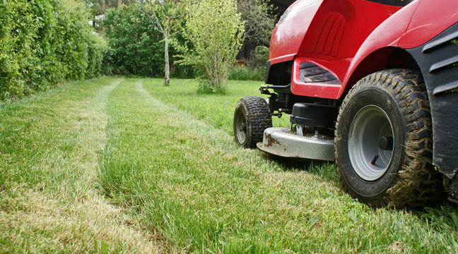 Herbe coup&eacute;e