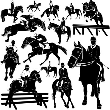 horse, equestrian vector