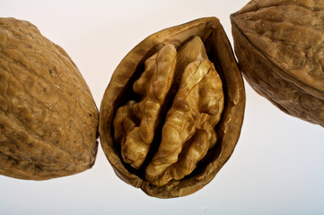 Walnuß