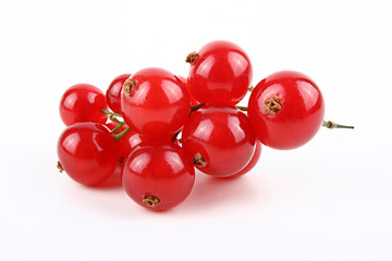 Rote Johannisbeeren freigestellt