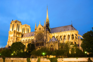 Fototapeta na wymiar Notre Dame de Paris. Wieczorny widok.